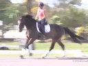 Jessie Steiner<br>
Riding & Lecturing<br>
Red Snapper<br>
9 yrs. old Gelding<br>
Hanoverian<br>
Training: 3rd/4th Level<br>
Owner: Briley Davis<br>
Duration: 43 minutes

