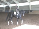 NEDA Fall SymposiumDay 2Available on DVD No.4
Hubertus SchmidtRiding & Lecturing
Julie Sherif
13 yrs. old
Danish Gelding
Owned:Sharon McCusker
Training: Grand Prix Duration: 47 minutes