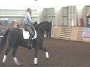 NEDA Fall SymposiumDay 3Available on DVD No. 2Hurbertus Schmidt
Riding and Lecturing
Fanale
13 yrs. old Mare
Hanoverian
Owner: Susan Springsteen
Training: Intermediaire 1
Duration: 50 minutes