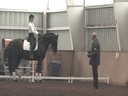 Available on DVD No.4NEDA Fall SymposiumDay 3Hubertus Schmidt
Assisting
Sharon McCusker
Julie Sherif
13 yrs. old
Danish Gelding
Owner: Sharon McCusker
Training: Grand Prix
Duration: 40 minutes
