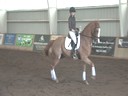 NEDA Fall Symposium<br>Day 2<br>Available on DVD No.1<br>
Hubertus Schmidt<br>
Riding & Lecturing<br>
Zatino H<br>
Owner: Emily Gershberg<br>
5 yrs. old Gelding<br>
KWPN<br>
Training: 2nd Level<br>
Duration: 52 minutes