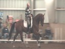 NEDA Fall SymposiumDay 2Available on DVD No.3
Hubertus SchmidtAssisting:
Ellie Coletti
William Walnut
9 yrs. Old Gelding
Hanoverian
Training: 4th Level
Duration: 33 minutes
