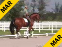 Available on DVD No.28<br>Volker Brommann<br>Riding and Lecturing<br>New Holland<br>Owner: Charmane Harrah<br>KWPN<br>11 yrs. old Gelding<br>Training: Prix St. George<br>Duration: 45 minutes
