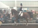 Available on DVD No.3<br>NEDA Fall Symposium<br>Day 2<br>
Hubertus Schmidt<br>Assisting:<br>
Ellie Coletti<br>
William Walnut<br>
9 yrs. Old Gelding<br>
Hanoverian<br>
Training: 4th Level<br>
Duration: 33 minutes