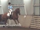NEDA Fall SymposiumDay 3Available on DVD No.3
Hubertus Schmidt
Assisting
Ellie Coletti
William Walnut
9 yrs. Old Gelding
Hanoverian
Training: 4th Level
Duration: 35 minutes