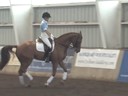 Available on DVD No.2Day 2
NEDA Fall SymposiumHurbertus Schmidt
Assisting
Susan Springsteen
Fanale
13 yrs. old
Hanoverian Mare
Owner: Susan Springsteen
Training: Intermediaire 1
Duration: 40 minutes