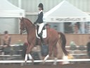 Available on DVD No.3<br>NEDA  Fall Symposium<br>Day 3<br>
Hubertus Schmidt<br>
Assisting<br>
Ellie Coletti<br>
William Walnut<br>
9 yrs. Old Gelding<br>
Hanoverian<br>
Training: 4th Level<br>
Duration: 35 minutes