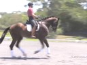 Dave Thind<br>
Assisting<br>
Katherine Figueroa<br>
Goldbach<br>
21 yrs. old Hanoverian<br>
Training: I1<br>
Duration: 35 minutes
	
