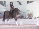USDF Trainers Conference<br>
Lilo Fore &<br>
Christian Matthiesen<br>
Assisting<br>
Elizabeth Caron<br>
Schroeder<br>
Hanoverian<br>
12 yrs. Old Stallion<br>
by: Sandro Hit<br>
Training: FEI Level<br>
Owner: Kathy Hickerson
Duration: 3
