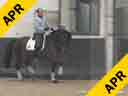 Michael Klimke<br>
Riding & Lecturing<br>
Floredo<br>
6 yrs. old Gelding<br>
WestRoten<br>
by: Florestan/Donnerhall<br>
Training: 3rd Level<br>
Duration: 29 minutes