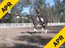 Elizabeth Ball<br>
Riding & Lecturing<br>
Soubirous<br>
7 yrs. old Gelding<br>
Oldenburg<br>
by: Sandro Hit<br>
Training: 4th Level<br>
Duration:30 minutes