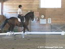 NEDA Spring Symposium<br>Terry Gallo &<br>
Lois Yukins<br>
Assisting<br>
Susan Rainville<br>
Tatoo<br>
11 yrs. old Lusitano Gelding<br>
Training: 2nd Level Freestyle<br>
Duration: 26 minutes
