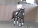USDF Adult Amature Clinic SeriesUSDF APPROVED
University Accreditation
Day 1
Charlotte Bredahl
Assisting
Cara Klothe
Kiss Me Kate
Warmblood
14 yrs. old Mare
Training: 3rd  Level
Duration: 38 minutes