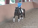 USDF Adult Amature Clinic Series<br>USDF APPROVED<br>
University Accreditation<br>
Day 1<br>
Charlotte Bredahl<br>
Assisting<br>
Lucy Helstowski<br>
Tango Royale<br>
Dutch Warmblood<br>
by: Nobility<br>
10 yrs. old Gelding<br>
Training:3rd  Leve