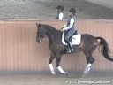 USDF Adult Amature Clinic SeriesUSDF APPROVED
University Accreditation
Day 2
Charlotte Bredahl
Assisting
Lucy Helstowski
Tango Royale
Dutch Warmblood
by: Nobility
10 yrs. old Gelding
Training: 3rd  Lev