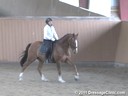 USDF Adult Amature Clinic Series<br>USDF APPROVED<br>
University Accreditation<br>
Day 2<br>
Charlotte Bredahl<br>
Assisting<br>
Gail Carpency<br>
Napoleon<br>
KWPN by: Houston<br>
15 yrs. old Gelding<br>
Training: PSG<br>
Duration: 35 minutes