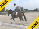 Jan Brons<br>
Riding & Lecturing<br>
Zonneglans<br>
4 yrs old Gelding<br>
KWPN<br>
Training: USEF Developing Horse<br>Owner: Prentiss Partners<br>Duration: 29 minutes