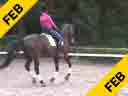 Rien van der Schaft<br>
Assisting<br>
Romy van der Schaft<br>Riding<br>
Trakener<br>
by: Gribaldi<br>
7 yrs. Old Gelding<br>
Training: 2nd Level<br>
Duration: 39 minutes
