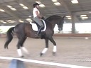 CDS Junior Young Rider Clinic<br>
Charlotte Bredahl<br>
Assisting<br>
Miriah  Mather<br>
Nimbus do Mirante<br>
20 yrs old Stallion<br>
Lusitano<br>
Training: Intermediare1<br>
Duration: 23 minutes

