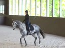 Day 2
Betsy Steiner
Assisting
Meghan Adams
Donovan
Irish Sport Horse
18 yrs. Old
Training: 3rd Level
Duration: 24 minutes


