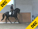 Markus Gribbe<br>
Assisting<br>
Tania Seymour<br>
Ramoneur<br>
Oldenburg<br>
by: Rohdiamant<br>
7 yrs. old Stallion<br>
Training: Grand Prix<br>
Owner: Tanya Seymour<br>
Duration: 15 minutes
