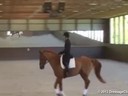 Betsy Steiner<br>
Assisting<br>
Jeri Geary<br>
“Ferguson”<br>
Connemera Pony<br>
5 yrs. Old<br>
Training: Intro Level<br>
Duration: 40 minutes
