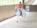 Betsy Steiner<br>
Assisting<br>
Meghan Adams<br>
Donovan<br>
Irish Sport Horse<br>
18 yrs. Old<br>
Training: 3rd Level<br>
Duration: 36 minutes
