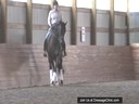 Day 2<br>
Felicitas von Neumann<br>
Assisiting<br>
Carol Long<br>
Kiwi<br>
Andalusian<br>
12 yrs. Old<br> 
Training: 3rd Level<br>
Duration: 39 minutes

