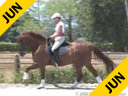 Shannon Dueck<br>Riding & Lecturing<br>Ringo Starr<br>7 yrs. old Gelding<br> Oldenburg<br>Training: 4th Level<br>Owner: Jean Vinios<br>Duration: 40 minutes
