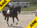 Available on DVD No.23<br>Hubertus Schmidt<br>Assisting<br>Shannon Dueck<br>Otto<br>owned by: Jean Vinios<br>KWPN Gelding<br>11 yrs. old<br>Training: Prix St. George<br>Duration: 35 minutes