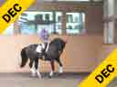 Christilot Boylen<br>
Riding & Lecturing<br>
Soccer City<br>
Hanoverian<br>
by: Sir Donnerhall<br>
6 yrs. Old Gelding<br>
Training: 3rd  Level<br>
Duration: 25 minutes
