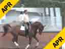 Johann Rockx<br>Riding & Lecturing<br>Zero Gravity<br>KWPN<br>4 yrs old Gelding<br>Training: Training Level<br>Owned by:<br>Johann & Penny Rockx<br>Duration: 28 minutes