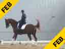Jan Brink<br>
Assisting<br>
Amy Lewis<br>
Sir Steierman<br>
5 yrs. Old Hanoverian<br>
Competed 4&5 yrs. Old Championships<br>
Duration: 48 minutes
