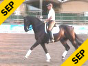 USDF APPROVED<br>
University Accreditation<br>
Available on DVD No.2<br>Steffen Peters<br>
Riding & Lecturing<br>
Marlando<br>
KWPN<br> 10 yrs old<br>
Training: Grand Prix<br>
Duration: 30 minutes