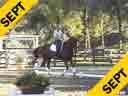 USDF APPROVED<br>
University Accreditation<br>
Available on DVD No.11<br>Steffen Peters<br>Riding & Lecturing<br>Floriano<br>Westfalen<br>15 yrs. old Gelding<br>Owner: Melanie Pai<br>Training: Grand Prix<br>Duration 40 minutes