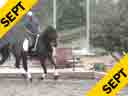 USDF APPROVED<br>
University Accreditation<br>
Available on DVD No. 33<br>Steffen Peters<br>Riding & Lecturing<br>Lucky Girl<br>(Owner: Gary & Michele Cooper)<br>Hanoverian<br>5 yrs. old Mare<br>Training FEI  <br>Duration: 34 minutes