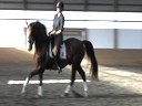 Day 3<br>
Markus Gribbe<br>
Assisting<br>
Rochelle Kilberg<br>
Rudy<br>
Hanoverian Rotsporn<br>
9yrs. old Gelding<br>
Training: 1-2/GP Level<br>
Owned By:<br>
Rochelle Kilberg<br>
Duration: 37 minutes