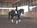 Day 3<br>
Markus Gribbe<br>
Assisting<br>
Lauren Wright<br>
Wie Mien Freund<br>
Hanoverian<br>
By:Weltmeyer<br>
11yrs. old Gelding<br>
Training: PSG Level<br>
Owned By:<br>
Lauren Wright<br>
Duration: 41 minutes