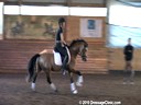 Day 3<br>
Markus Gribbe<br>
Assisting<br>
Nicola Wallace<br>
Duke of Clarence<br>
Westphalian<br>
German Riding Pony<br>
By:
Classic Dancer<br>
3yrs. old Stallion
Training: Training Level<br>
Owned By:<br>
Westcoast Warmbloods<br>Duration: 23