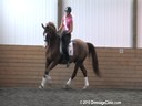 Day 1<br>
Markus Gribbe<br>
Assisting<br>
Rochelle Kilberg<br>
Rudy<br>
Rotspon<br>
9yrs. old Gelding<br>
Training:GP Level<br>
Owned By:<br>
Ben Kilberg<br>
Duration: 33 minutes