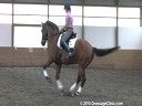 Day 1<br>
Markus Gribbe<br>
Assisting<br>
Andrea Taylor<br>
Usher<br>
KWPN<br>
By:Jazz<br>
9yrs. old Gelding<br>
Training: PSG/1-1<br>
Owned By:<br>
Penny Pillow<br>
Duration: 37 minutes