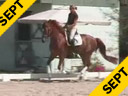 Shannon Dueck<br>Riding & Lecturing<br>Ringo Starr<br>Oldendburg<br>5 yrs. old Gelding<br>Training: 2nd Level<br>Duration: 35 minutes