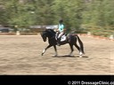 U.S. Trainers & Judges Young Horse Forum<br>Day 3<br>
Dr. Dieter Schule &<br>    
Susanne Lauda<br>
Warm-Ups,test rides<br>
Discussion of Scoring<br>
Assisting<br>
Sabine Schut-Kery<br>
Rohan<br>
by: Rock Forever<br>
3 yrs. old Stallion