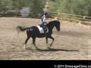 U.S. Trainers & Judges Young Horse Forum<br>Day 3<br>
Dr. Dieter Schule &<br>
Susanne Lauda<br>
Warm-Ups,test rides<br>
Discussion of Scoring<br>
Assisting<br>
Tamara Smith<br>
Fleeceworks Cinco<br>
Holsteiner<br>
by: Cascani<br>
4 yrs.