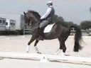 Jans Brons<br>
Riding & Lecturing<br>
Jordan<br>
KWPN<br>
17 yrs. old Gelding<br>
Out of Elmshora<br>
by: Joost<br>
Training: GP<br>
Duration: 23 minutes