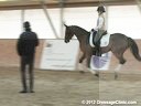WDCTA Wisconsin Dressage & Combined Training Association<br>Day 2<br>
First Level<br>
Steffen Peters<br>
& Janet Foy<br>
Assisting<br>
5 yrs. old Hanoverian Mare<br>
7 yrs. old Fjord Stallion<br>
6 yrs. old Dutch Gelding<br>
Duration: 46 m