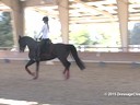 CDS Junior Young Rider Clinic<br>
Charlotte Bredahl<br>
Assisting<br>
Reilly Strahan<br>
Martellato<br>
8 yrs old Gelding<br>
Hanoverian/Arabian<br>
Training: 2nd level<br>
Duration: 33 minutes