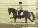 U.S.Trainers & Judges Young Horse ForumPart 1
Michael Poulin &
Christoph Hess
Discusion & Practical
Demonstration on Suppleness,
Contact, Movement Based
On Conformation
Duration: 38 minutes