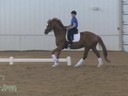 IDCTA The Illinois Dressage & Combined Training Association Presents<br>
Jan Brink<br>
Assisting<br>
Darcy Drije<br>
Amor<br>
7 yrs. old Gelding<br>
Training: 2nd/3rd Level<br>
Duration:42 minutes