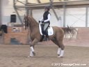 WDCTA Wisconsin Dressage & Combined Training AssociationDay 2Intermediare II & GPSteffen Peters& Janet FoyAssisting22 yrs. old Hanoverian Mare15 yrs. old Hanoverian Gelding10 yrs. old Oldenburg GeldingDurati